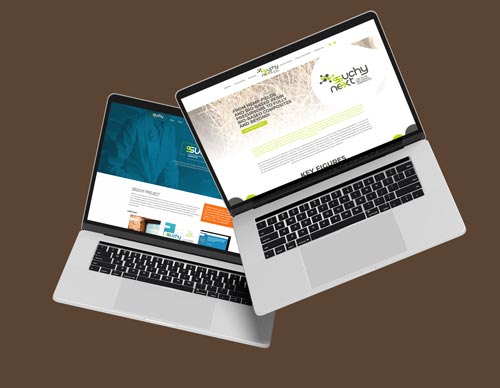 Création de logos et sites web pour les projets Ssuchy et Ssuchy-Next